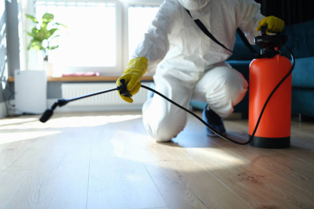 Affordable Sewage Cleanup solutions in Carpenter, WY